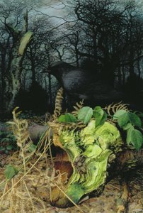Inverno nel bosco da Raymond Booth