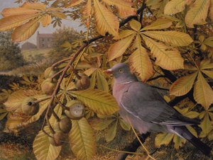 Ottobre: Piccione in Ippocastano da Raymond Booth
