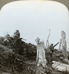 Assalto nel Bosco di Trones, Somme, Francia, Prima Guerra Mondiale, 1916