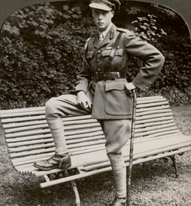 Il Principe di Galles in uniforme militare, Francia, Prima Guerra Mondiale, 1914-1918 da Realistic Travels Publishers