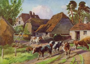 Illustrazione per La Mia Fattoria da Reginald Mills