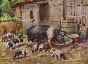 Illustrazione per My Farm da Reginald Mills