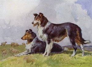 Illustrazione per My Farm da Reginald Mills