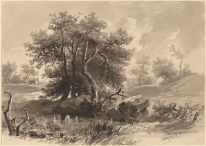Gli alberi, Bedford, New York da Regis Francois Gignoux