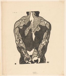 Studio anatomico dei muscoli della schiena di un uomo da Reijer Stolk