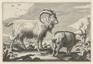 Paesaggio collinare con due capre da Reinier van Persijn