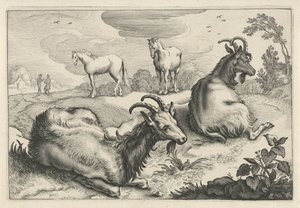 Paesaggio con due capre e due cavalli da Reinier van Persijn
