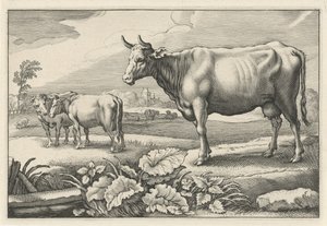 Prato con mucche da Reinier van Persijn