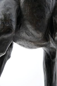 Grande giraffa con testa abbassata, modellata 1909-10, fusa prima del 1913