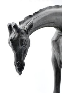 Grande giraffa con testa abbassata, modellata 1909-10, fusa prima del 1913