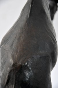 Grande giraffa con testa abbassata da Rembrandt Bugatti