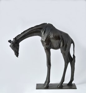 Grande giraffa con testa abbassata, modellata 1909-10, fusa prima del 1913