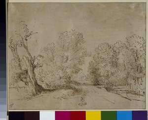 Una strada boschiva, c.1650 da Rembrandt Harmensz. van Rijn