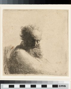 Busto di un vecchio uomo barbuto, con lo sguardo rivolto verso il basso, di tre quarti a destra da Rembrandt Harmensz. van Rijn