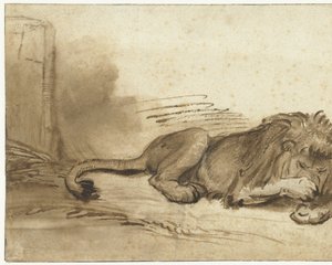 Leone sdraiato con la zampa anteriore sul muso da Rembrandt van Rijn (school of)