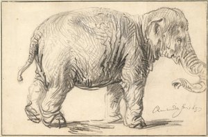 Un elefante, 1637