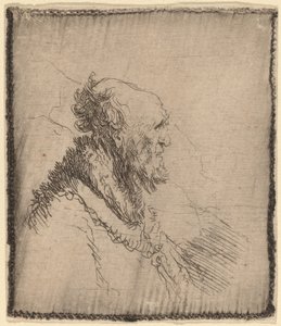 Vecchio calvo con barba corta di profilo da Rembrandt van Rijn