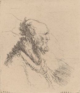 Vecchio calvo con barba corta di profilo da Rembrandt van Rijn