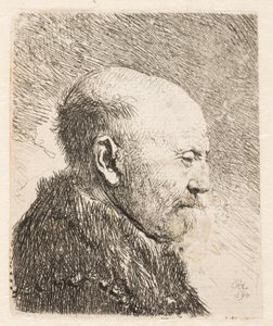Uomo calvo di profilo (padre di Rembrandt?) da Rembrandt van Rijn
