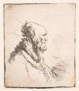 Vecchio calvo con barba corta, di profilo a destra da Rembrandt van Rijn