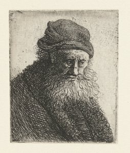 Uomo barbuto con capelli corti ondulati: busto da Rembrandt van Rijn