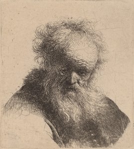 Busto di un vecchio con barba fluente e manica bianca, c. 1630 da Rembrandt van Rijn