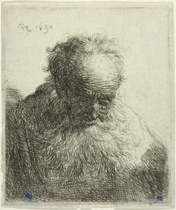 Busto di un vecchio con barba fluente: la testa inclinata in avanti: spalla sinistra non ombreggiata da Rembrandt van Rijn