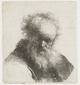 Busto di un vecchio con barba fluente e manica bianca da Rembrandt van Rijn