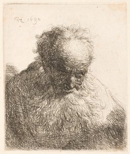  da Rembrandt van Rijn