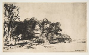 Gruppo di Alberi con Vista, 1652 da Rembrandt van Rijn