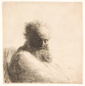 Vecchio, uomo barbuto. Busto