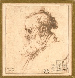 Testa di un uomo barbuto di profilo a sinistra da Rembrandt van Rijn