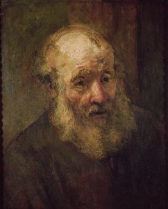 Testa di un vecchio