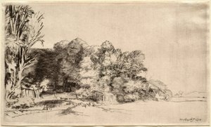 Paesaggio con un gruppo di alberi da Rembrandt van Rijn