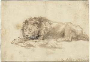 Leone sdraiato da Rembrandt van Rijn
