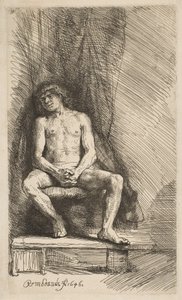 Uomo Nudo Seduto davanti a una Tenda da Rembrandt van Rijn