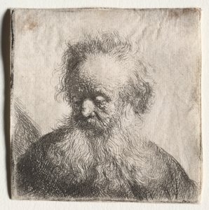 Vecchio con barba fluente: Busto, 1631 da Rembrandt van Rijn