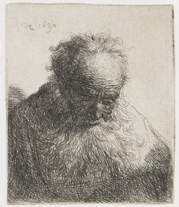 Vecchio con barba fluente, spalla sinistra non ombreggiata da Rembrandt van Rijn