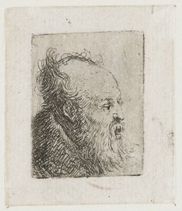 Un anziano barbuto, con la bocca semiaperta da Rembrandt van Rijn