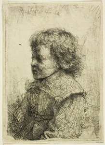 Ritratto di un ragazzo da Rembrandt van Rijn