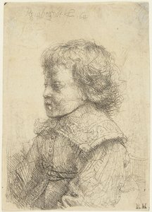 Ritratto di un ragazzo da Rembrandt van Rijn