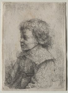 Ritratto di un Ragazzo di Profilo da Rembrandt van Rijn