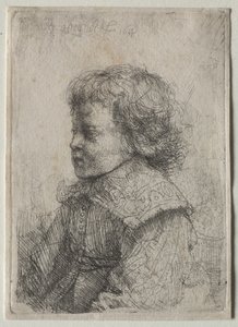 Ritratto di un Ragazzo di Profilo da Rembrandt van Rijn