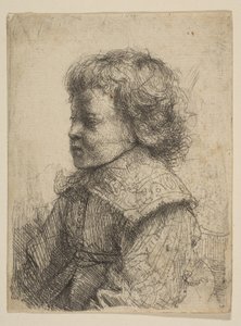 Ritratto di un Ragazzo, di Profilo da Rembrandt van Rijn