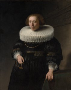 Ritratto di una donna, probabilmente un membro della famiglia Van Beresteyn da Rembrandt van Rijn
