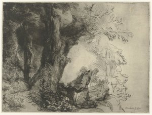 San Francesco sotto un albero, in preghiera da Rembrandt van Rijn