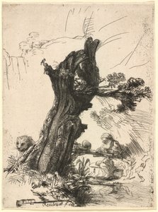 San Girolamo accanto a un salice capitozzato da Rembrandt van Rijn