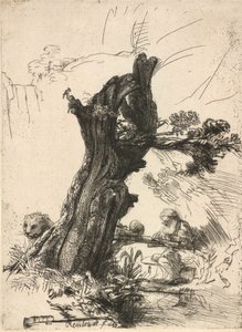 San Girolamo accanto a un salice capitozzato