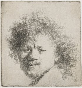 Autoritratto con capelli lunghi e folti: solo testa, ca 1631