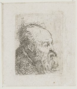 Foglio con studi di teste maschili: anziano barbuto quasi di profilo verso destra: bocca semiaperta da Rembrandt van Rijn